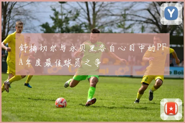 舒梅切尔与永贝里各自心目中的PFA年度最佳球员之争